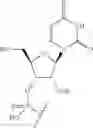 Fig. 76 - Short interfering nucleic acid (siNA) molecules containing a 2′ internucleoside linkage