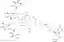 Fig. 77 - Short interfering nucleic acid (siNA) molecules containing a 2′ internucleoside linkage