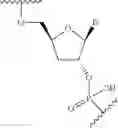 Fig. 80 - Short interfering nucleic acid (siNA) molecules containing a 2′ internucleoside linkage