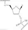 Fig. 81 - Short interfering nucleic acid (siNA) molecules containing a 2′ internucleoside linkage