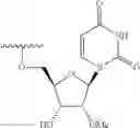 Fig. 84 - Short interfering nucleic acid (siNA) molecules containing a 2′ internucleoside linkage