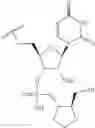 Fig. 85 - Short interfering nucleic acid (siNA) molecules containing a 2′ internucleoside linkage