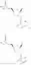 Fig. 92 - Short interfering nucleic acid (siNA) molecules containing a 2′ internucleoside linkage