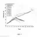 Fig. 04 - SMN2 element 1 antisense compositions and methods and uses thereof