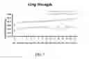 Fig. 08 - SMN2 element 1 antisense compositions and methods and uses thereof