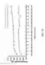Fig. 25 - SMN2 element 1 antisense compositions and methods and uses thereof