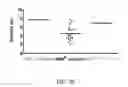 Fig. 30 - SMN2 element 1 antisense compositions and methods and uses thereof