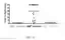 Fig. 33 - SMN2 element 1 antisense compositions and methods and uses thereof