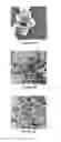 Fig. 06 - Metal-ligand coordination polymer nanoparticles and methods for making