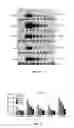 Fig. 03 - miR-29 mimics and uses thereof