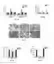 Fig. 04 - miR-29 mimics and uses thereof