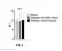 Fig. 09 - miR-29 mimics and uses thereof