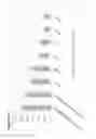 Fig. 17 - Compositions and methods for “resistance-proof” SiRNA therapeutics for influenza