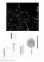 Fig. 24 - Compositions and methods for “resistance-proof” SiRNA therapeutics for influenza