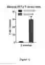 Fig. 13 - Compositions and methods for treating and preventing macular degeneration