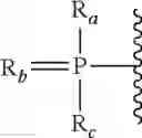 Fig. 13 - Modulation of androgen receptor expression