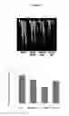 Fig. 08 - Drought and submergence tolerance in plants