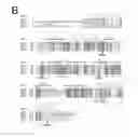 Fig. 03 - TRANSGENIC PLANTS