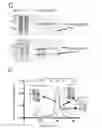 Fig. 08 - TRANSGENIC PLANTS