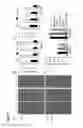 Fig. 12 - TRANSGENIC PLANTS