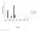 Fig. 11 - Microorganisms and methods for producing pyruvate, ethanol, and other compounds