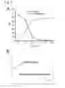 Fig. 07 - Biosynthetic pathways and products
