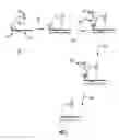 Fig. 08 - COMPOSITIONS AND METHODS OF NUCLEIC ACID-TARGETING NUCLEIC ACIDS