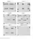 Fig. 13 - Method for detection of KRAS mutations