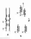 Fig. 02 - Nucleic acid amplification