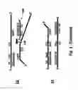 Fig. 04 - Nucleic acid amplification
