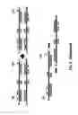 Fig. 06 - Nucleic acid amplification