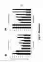 Fig. 12 - Nucleic acid amplification