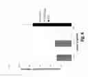 Fig. 15 - Nucleic acid amplification