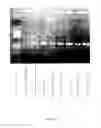 Fig. 33 - Method for pretreatment of microbial samples