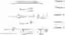 Fig. 03 - Highly selective omega primer amplification of nucleic acid sequences