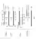 Fig. 11 - Highly selective omega primer amplification of nucleic acid sequences