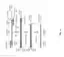 Fig. 13 - Highly selective omega primer amplification of nucleic acid sequences