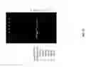 Fig. 19 - Highly selective omega primer amplification of nucleic acid sequences
