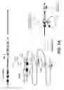 Fig. 02 - Method for Studying V(D)J Combinatory Diversity