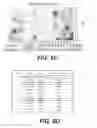 Fig. 18 - Method for Studying V(D)J Combinatory Diversity