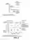 Fig. 19 - Method for Studying V(D)J Combinatory Diversity