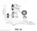 Fig. 27 - Method for Studying V(D)J Combinatory Diversity