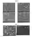 Fig. 05 - FLAME-RETARDANT MAGNESIUM ALLOY AND METHOD OF MANUFACTURING SAME