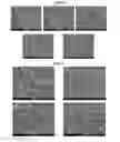 Fig. 08 - FLAME-RETARDANT MAGNESIUM ALLOY AND METHOD OF MANUFACTURING SAME