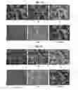 Fig. 09 - FLAME-RETARDANT MAGNESIUM ALLOY AND METHOD OF MANUFACTURING SAME