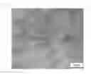 Fig. 04 - SPUTTERING TARGET OF MULTI-COMPONENT SINGLE BODY AND METHOD FOR PREPARATION THEREOF, AND METHOD FOR PRODUCING MULTI-COMPONENT ALLOY-BASED NANOSTRUCTURED THIN FILMS USING SAME
