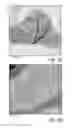 Fig. 04 - Method for coating of carbon nanomaterials