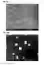 Fig. 12 - METHODS OF FORMING PEROVSKITE FILMS