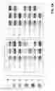 Fig. 06 - Aggregating textiles for production