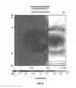 Fig. 05 - Method and system for in-situ cross linking of polymers, bitumen and similar materials to increase strength, toughness and durability via irradiation with electron beams from mobile accelerators